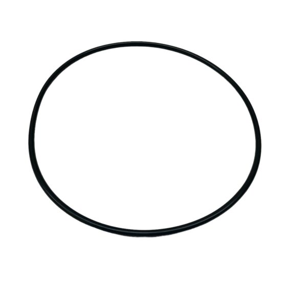 101-1000-189 O-Ring